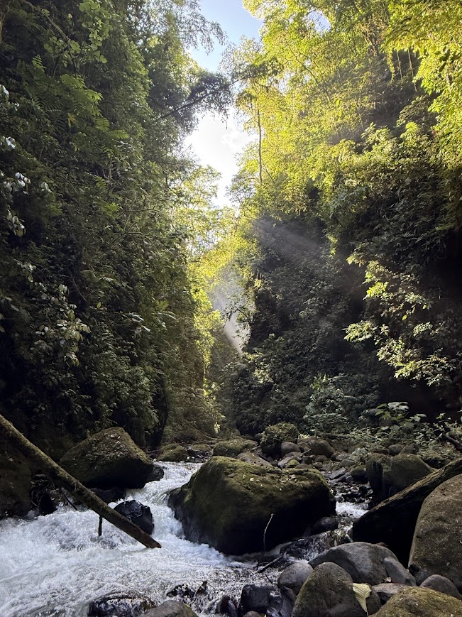 Mirador El Colibrí